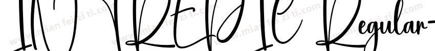 INTREPIC Regular字体转换